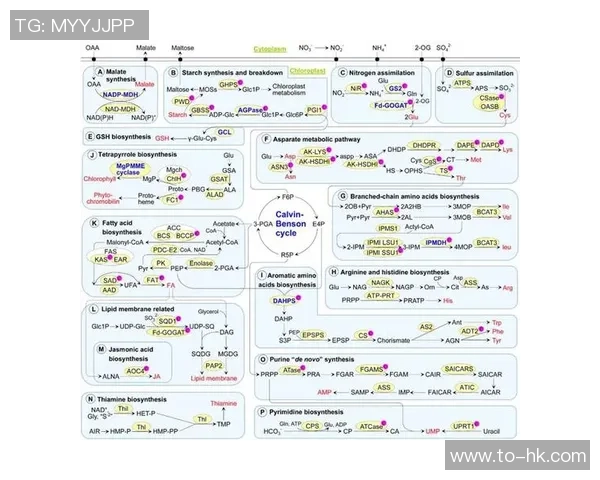 赛后分析：上海篮球队与西安篮球队的战术意识与团队协作探讨